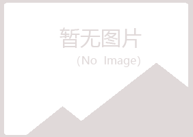 汤阴县字迹制造有限公司